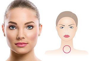 Round-Face-Shape-model